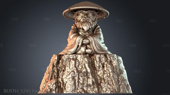 BUSTH_5245 3d stl модель для ЧПУ