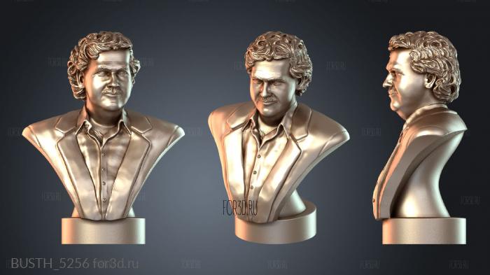 BUSTH_5256 3d stl модель для ЧПУ