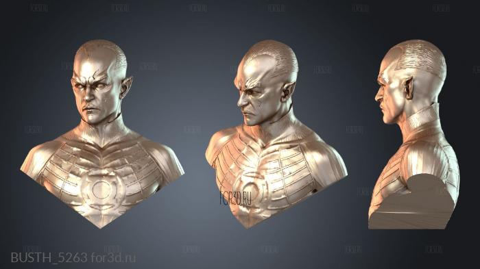 BUSTH_5263 3d stl модель для ЧПУ