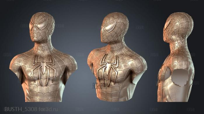 BUSTH_5308 3d stl модель для ЧПУ