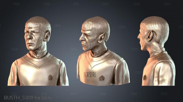 BUSTH_5309 3d stl модель для ЧПУ