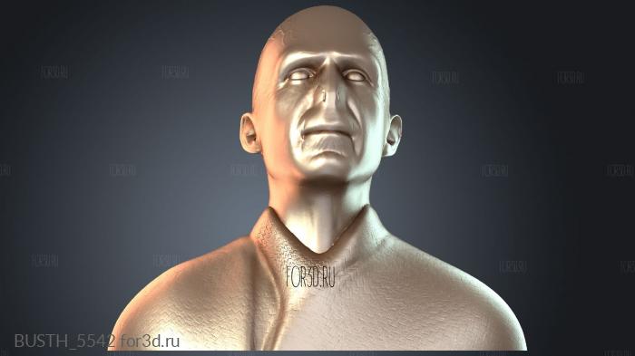 BUSTH_5542 3d stl модель для ЧПУ