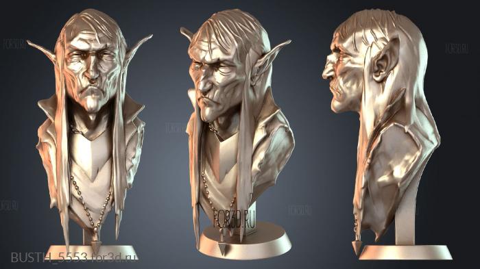 BUSTH_5553 3d stl модель для ЧПУ