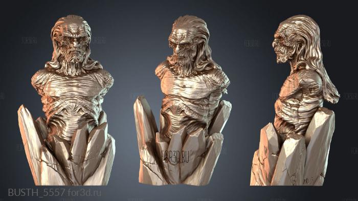 BUSTH_5557 3d stl модель для ЧПУ