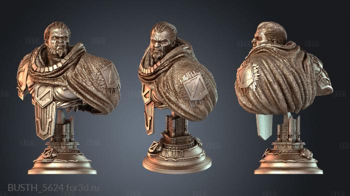 BUSTH_5624 3d stl модель для ЧПУ