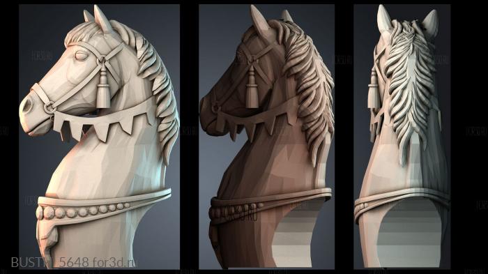 BUSTH_5648 3d stl модель для ЧПУ