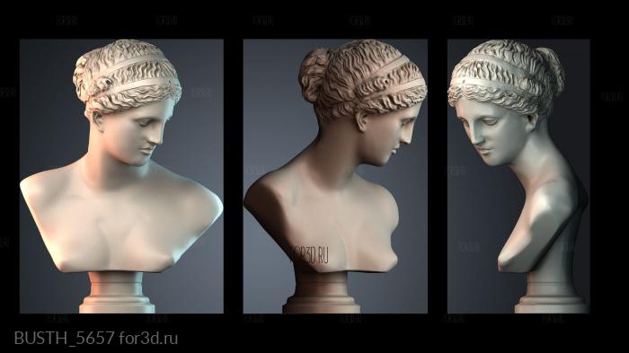 BUSTH_5657 3d stl модель для ЧПУ