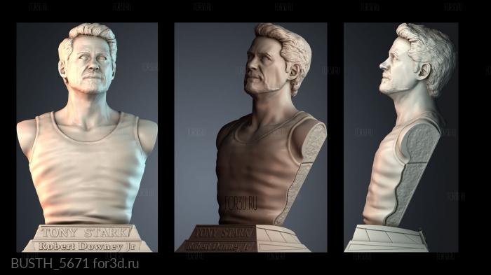 BUSTH_5671 3d stl модель для ЧПУ