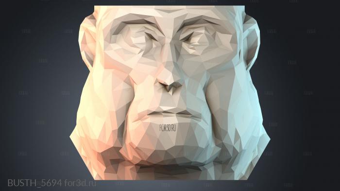 BUSTH_5694 stl model for CNC