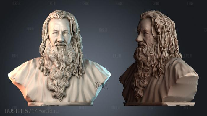 BUSTH_5714 stl model for CNC