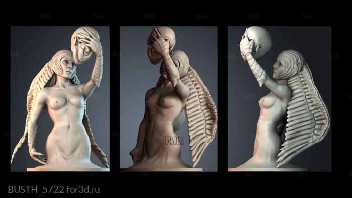 BUSTH_5722 stl model for CNC