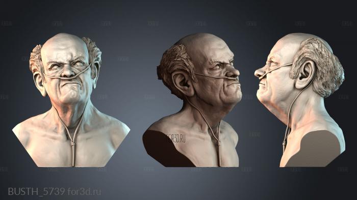 BUSTH_5739 stl model for CNC