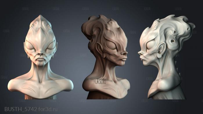 BUSTH_5742 stl model for CNC