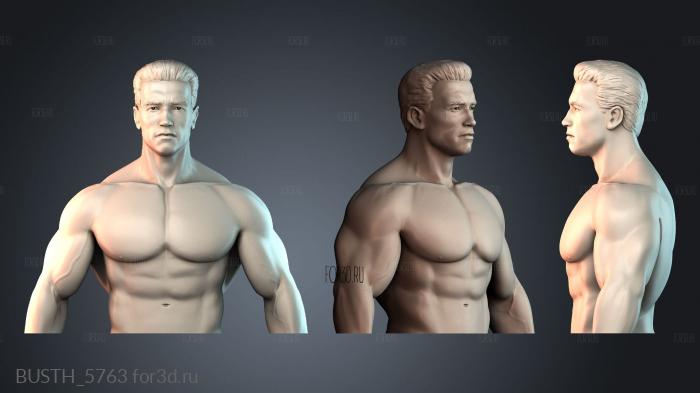 BUSTH_5763 stl model for CNC