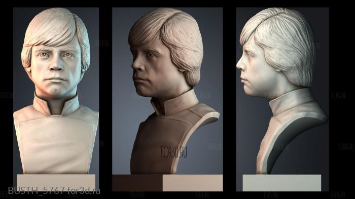 BUSTH_5767 stl model for CNC