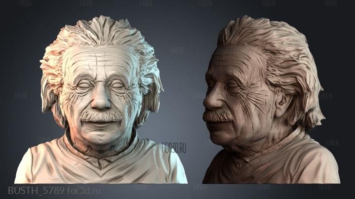 BUSTH_5789 stl model for CNC