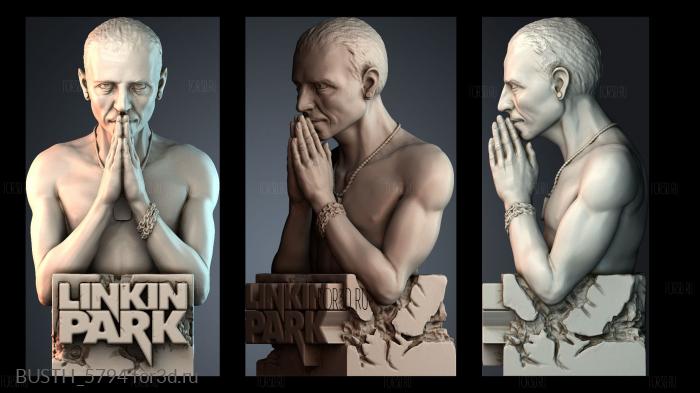 BUSTH_5794 stl model for CNC