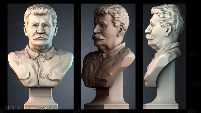 BUSTH_5803 stl model for CNC