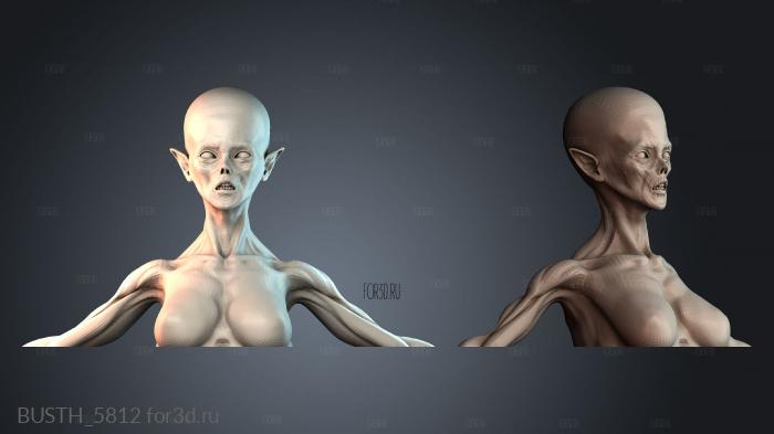 BUSTH_5812 stl model for CNC