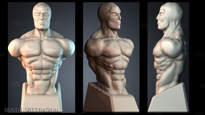 BUSTH_5813 stl model for CNC