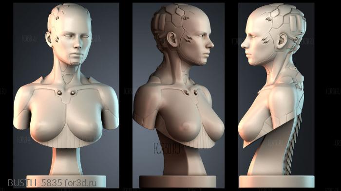 BUSTH_5835 stl model for CNC