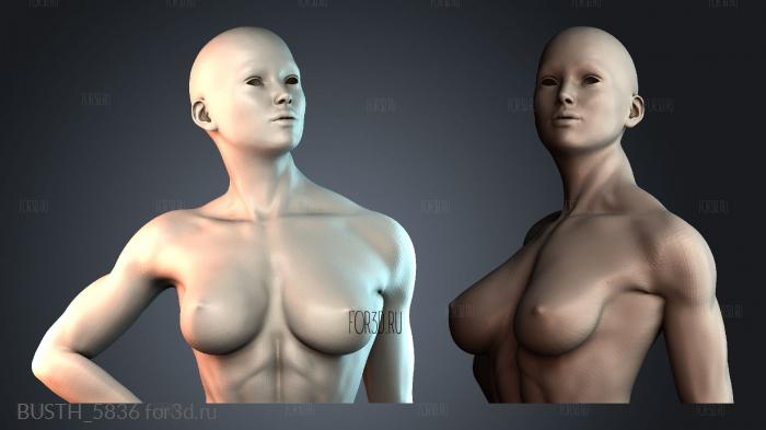 BUSTH_5836 stl model for CNC