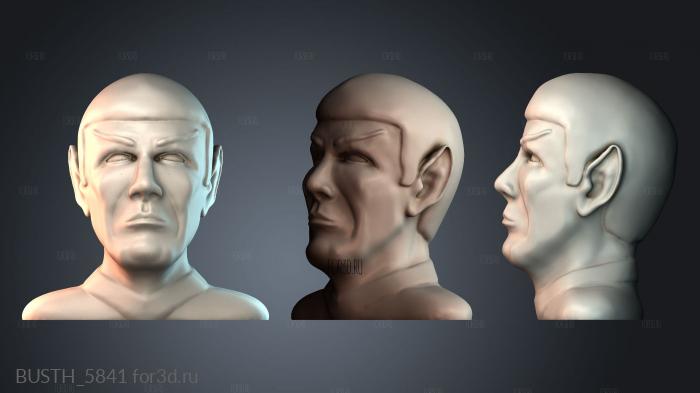 BUSTH_5841 stl model for CNC