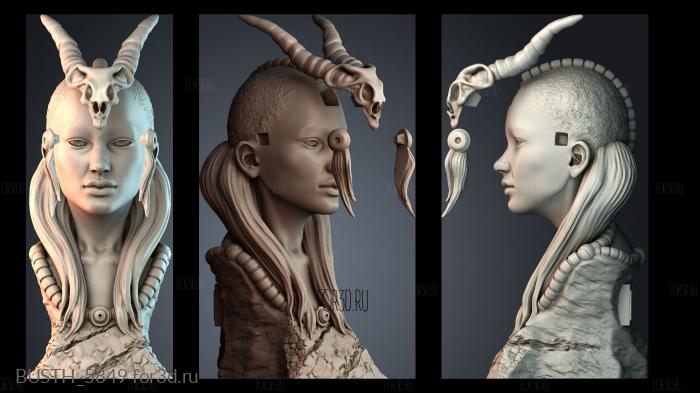 BUSTH_5849 stl model for CNC