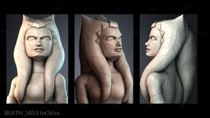 BUSTH_5853 stl model for CNC