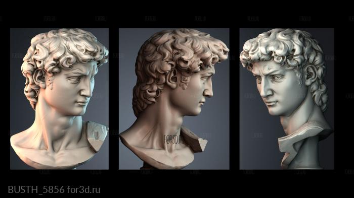 BUSTH_5856 stl model for CNC