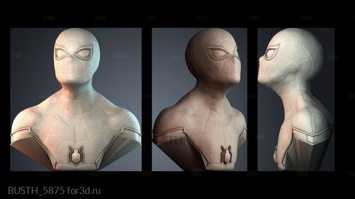 BUSTH_5875 stl model for CNC