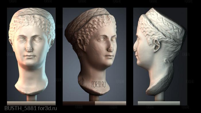 BUSTH_5881 stl model for CNC