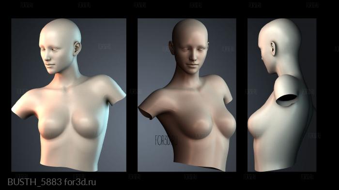 BUSTH_5883 stl model for CNC