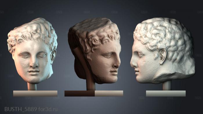 BUSTH_5889 stl model for CNC