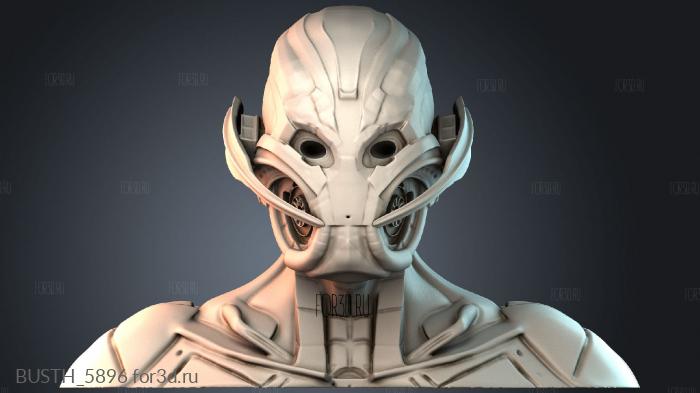 BUSTH_5896 stl model for CNC