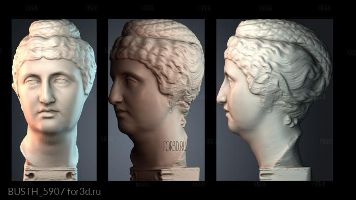 BUSTH_5907 stl model for CNC