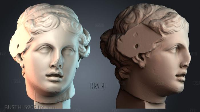 BUSTH_5909 stl model for CNC