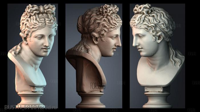 BUSTH_5910 stl model for CNC