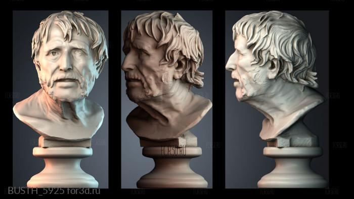 BUSTH_5925 stl model for CNC