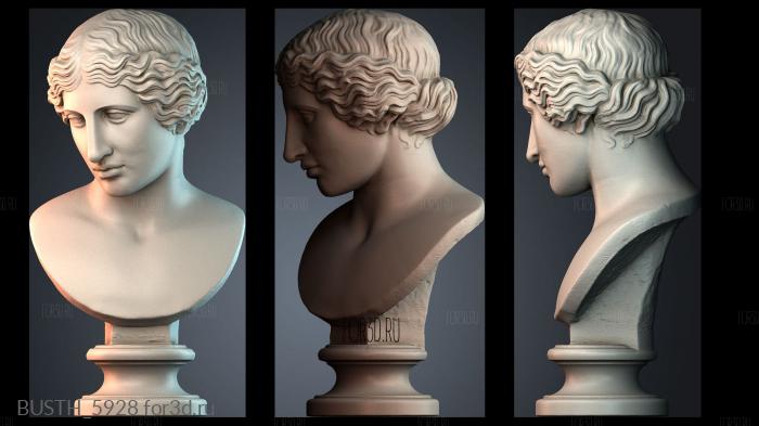 BUSTH_5928 stl model for CNC