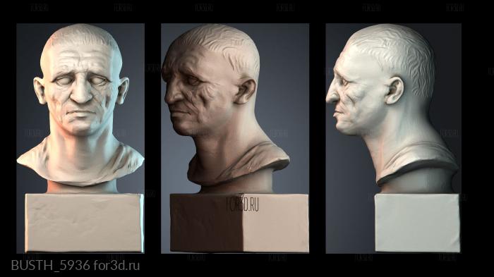BUSTH_5936 stl model for CNC