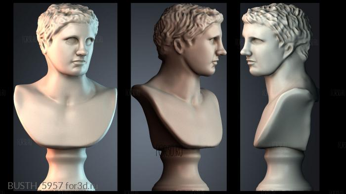BUSTH_5957 stl model for CNC