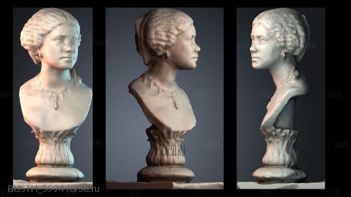 BUSTH_5994 stl model for CNC