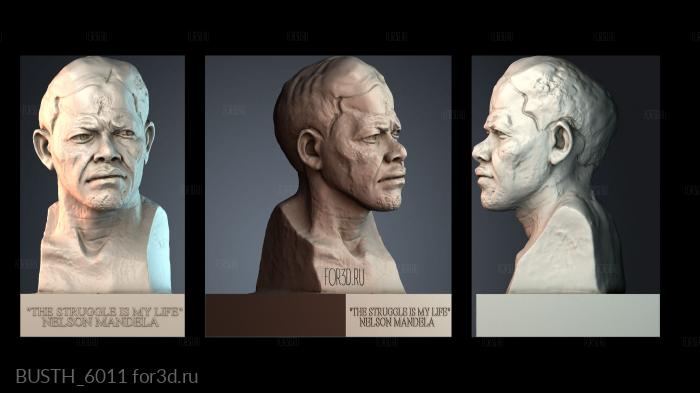 BUSTH_6011 stl model for CNC