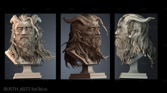 BUSTH_6072 stl model for CNC