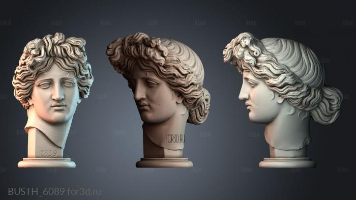 BUSTH_6089 stl model for CNC