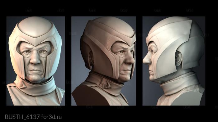 BUSTH_6137 stl model for CNC
