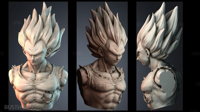 BUSTH_6153 stl model for CNC