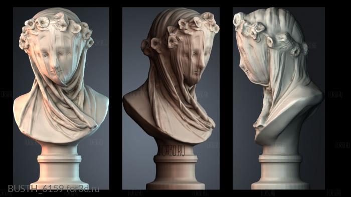 BUSTH_6159 stl model for CNC