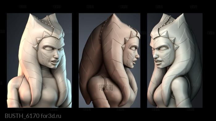 BUSTH_6170 stl model for CNC